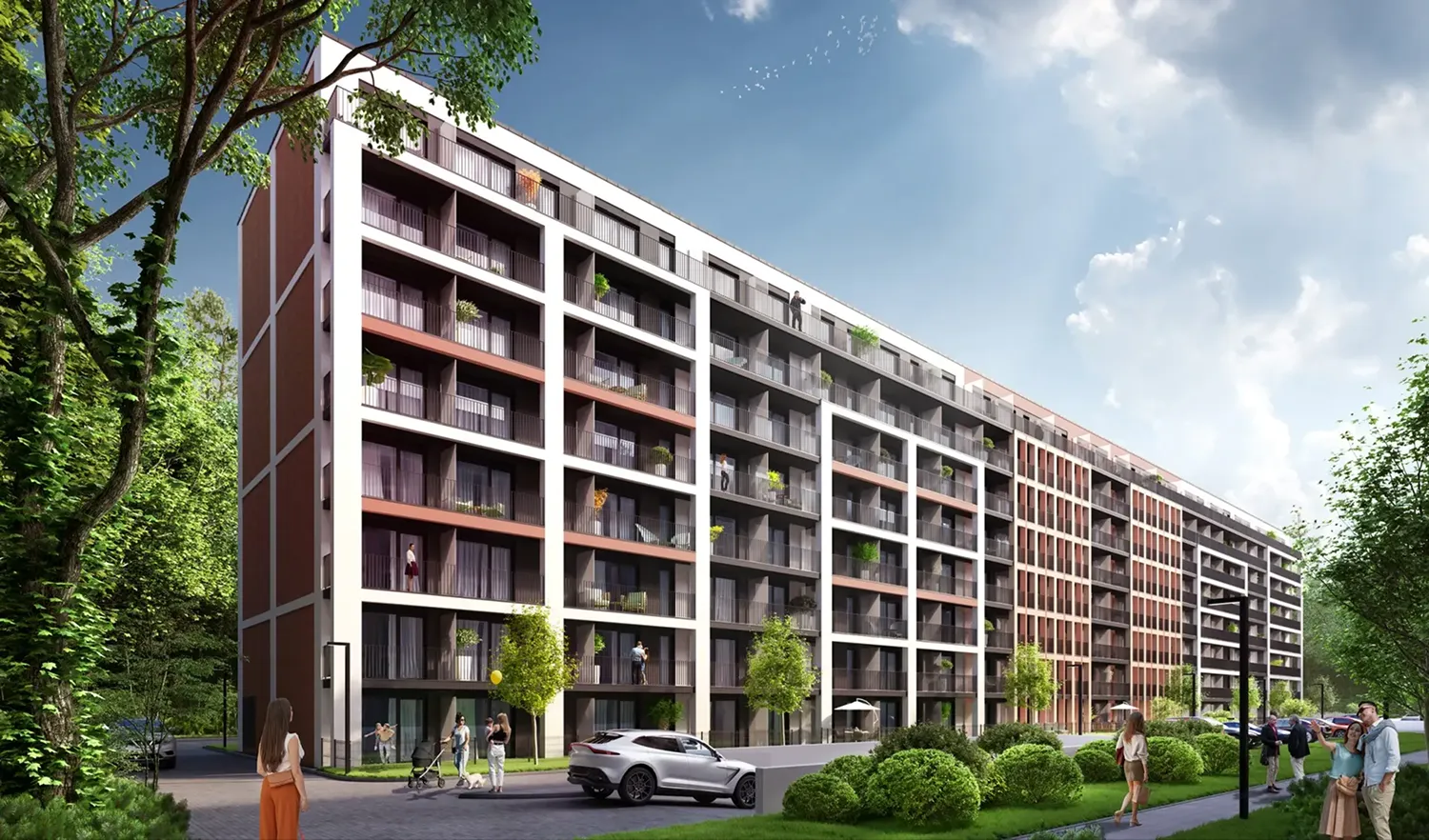 Rzut wszystkich budynków